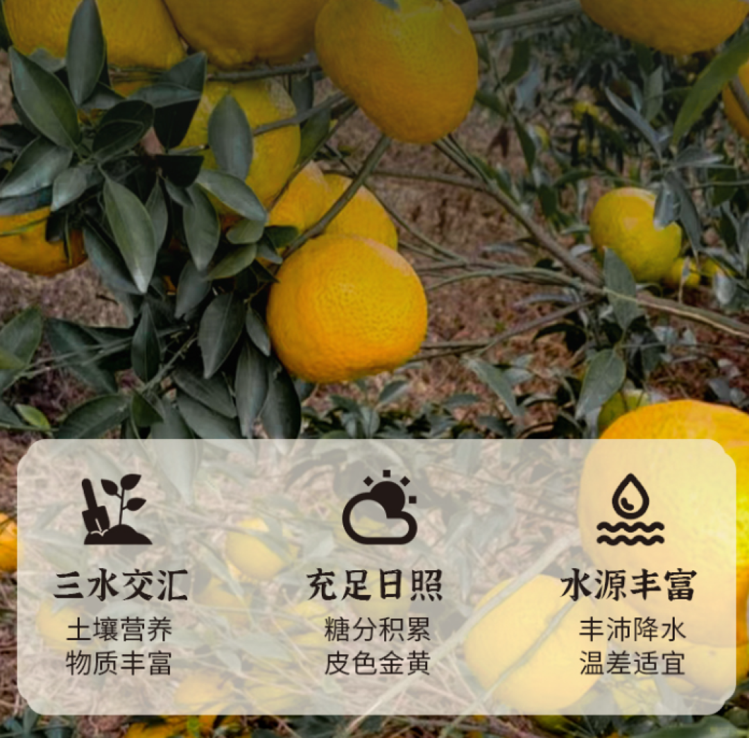 入冬后，这类茶少喝，越喝湿气越重