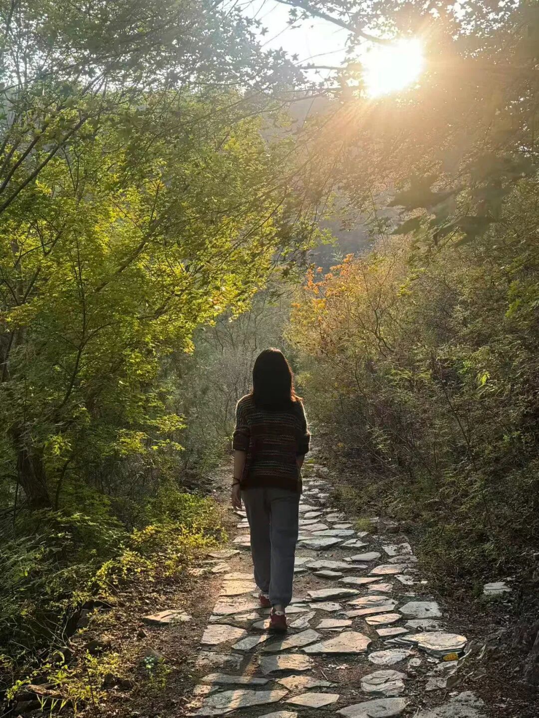 读书分享 | 2025年末推荐书籍,帮助每个迷茫的你找到专属于自己的“人生办法”
