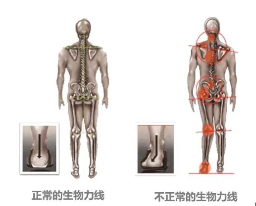 空间物理系列：三点力学足弓科技鞋