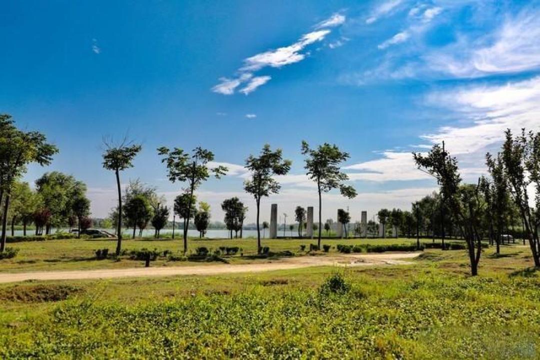 漳州境内免费停车露营地,能搭帐篷环境优美安静不吵生活购物方便