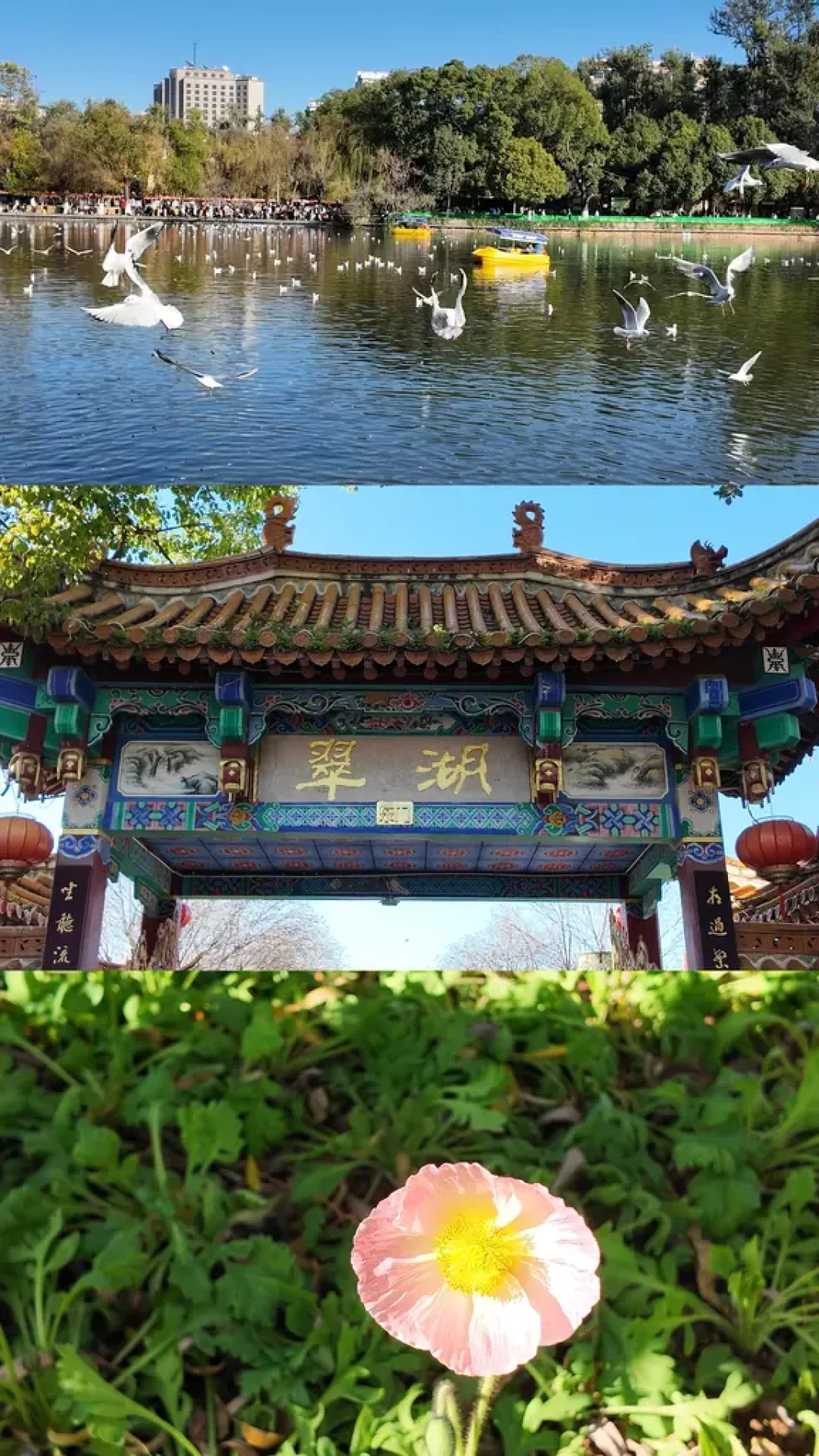 女生Solo 中转昆明游玩攻略