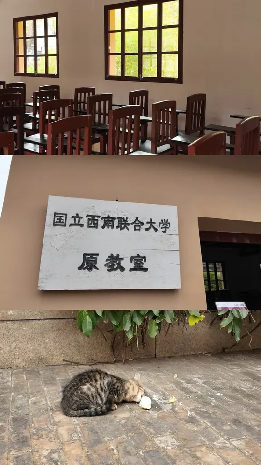 女生Solo 中转昆明游玩攻略