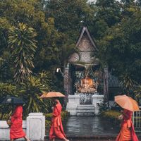 Lp“2025亚洲最佳旅游地之首”！超慵懒南法风小城，自由散漫的户外天堂，99%人没听过的秘境伊甸园，春节超推荐！