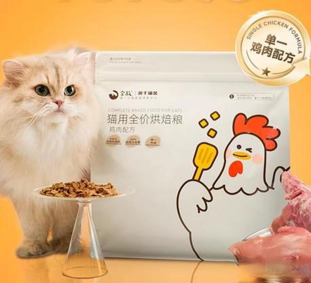 养猫不能喂人吃的饭菜只能喂猫粮吗?