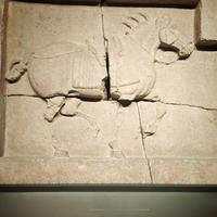 去哪些旅行地时，你曾感觉「此刻置身于历史中」？