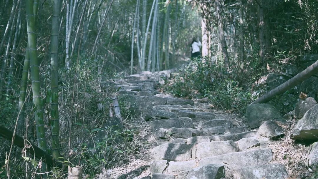 嵊州西白山|徒步攻略:绍兴第一高峰!打卡“江南小色达”小昆村,8公里新手环线轻松走