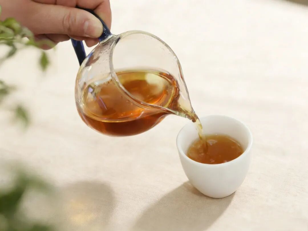 读懂普洱茶:生熟区别+品鉴收藏全攻略