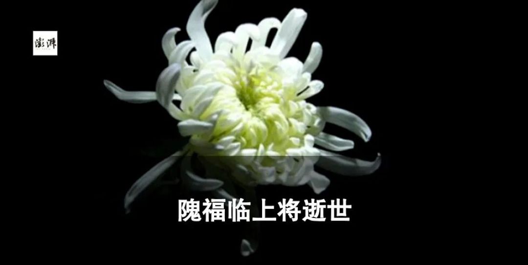 她是一代人的远方,也是依然年轻的灵魂