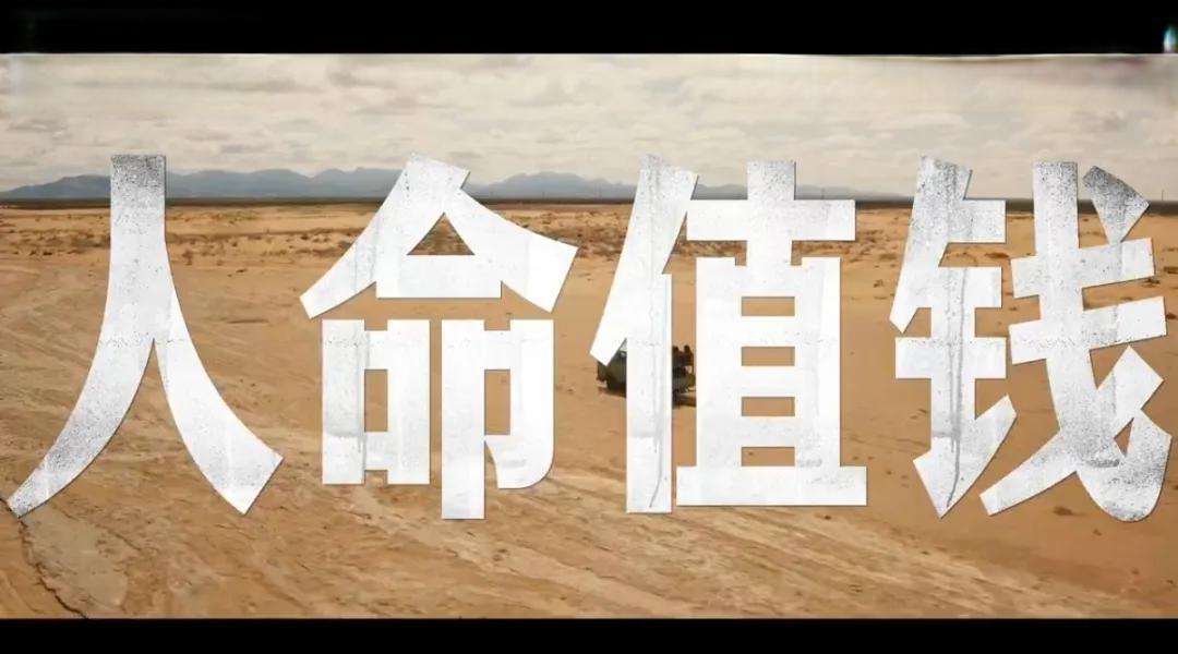 《用武之地》一部被低估的好片
