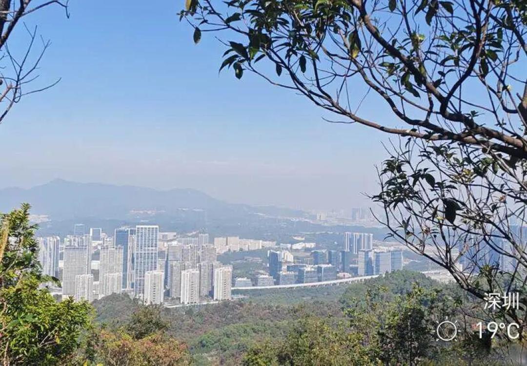 有空请多到山里走一走---26新年“侨梅银”穿越记