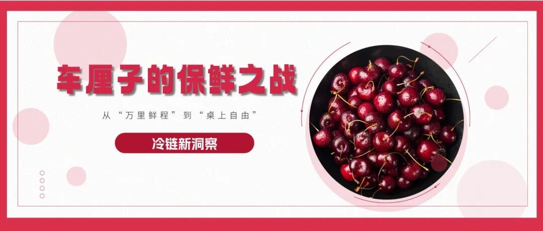 冷链新洞察丨从“万里鲜程”到“桌上自由”:车厘子的保鲜之战