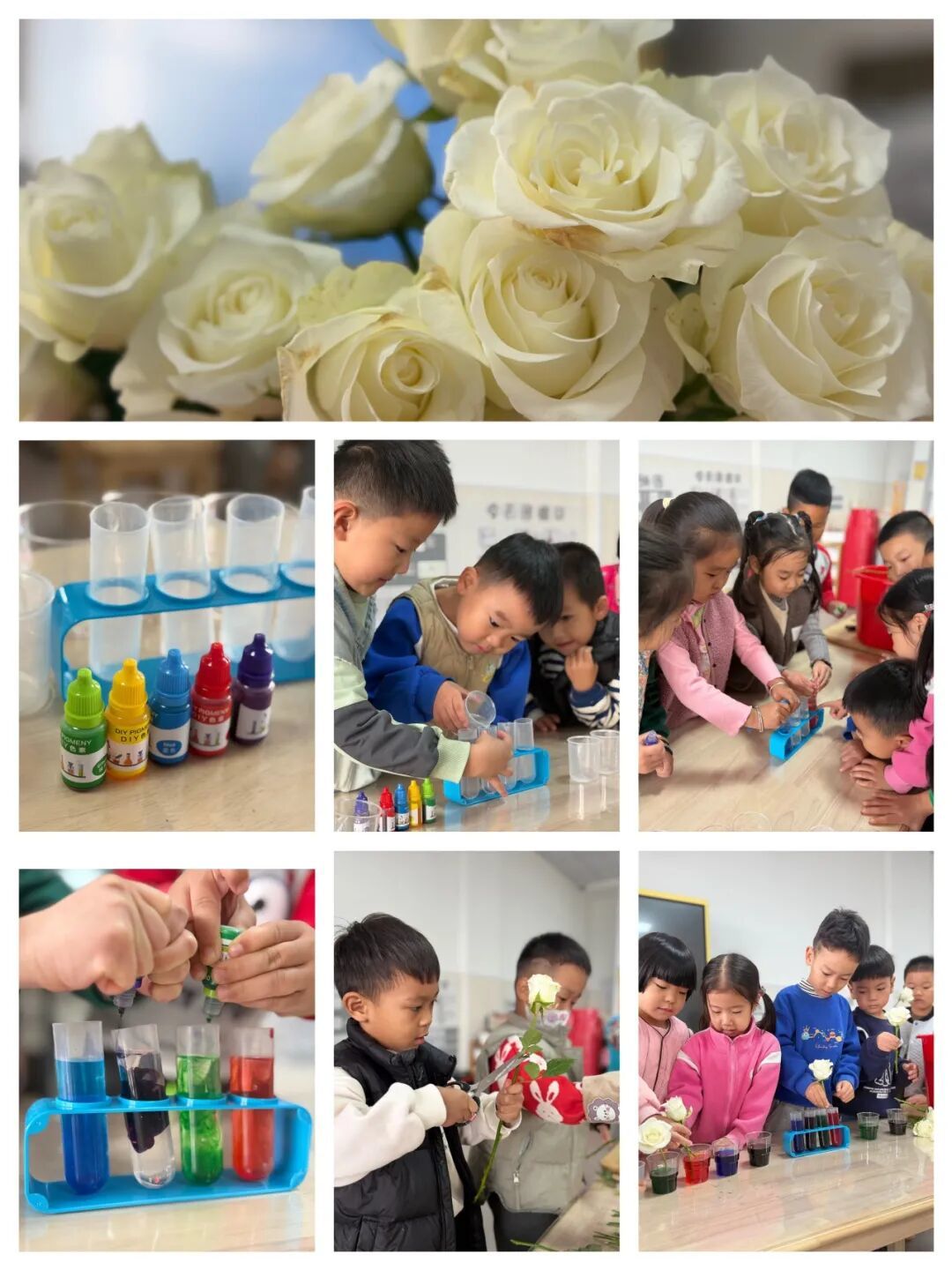 书的喜悦 | 龙口市实验幼儿园师幼共读图画书活动系列推送(五)