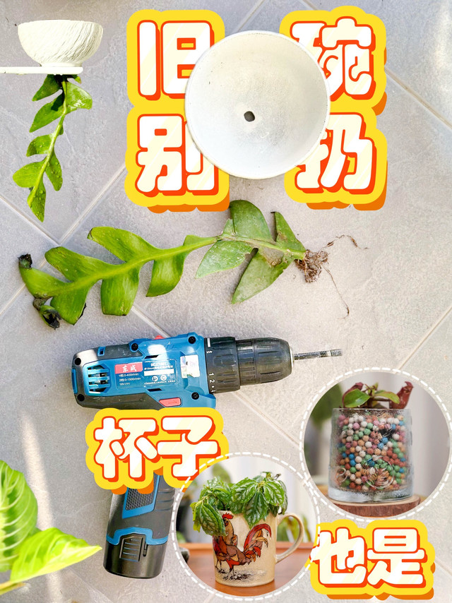 旧碗、旧杯先别扔！改造一下 秒变高颜值花盆