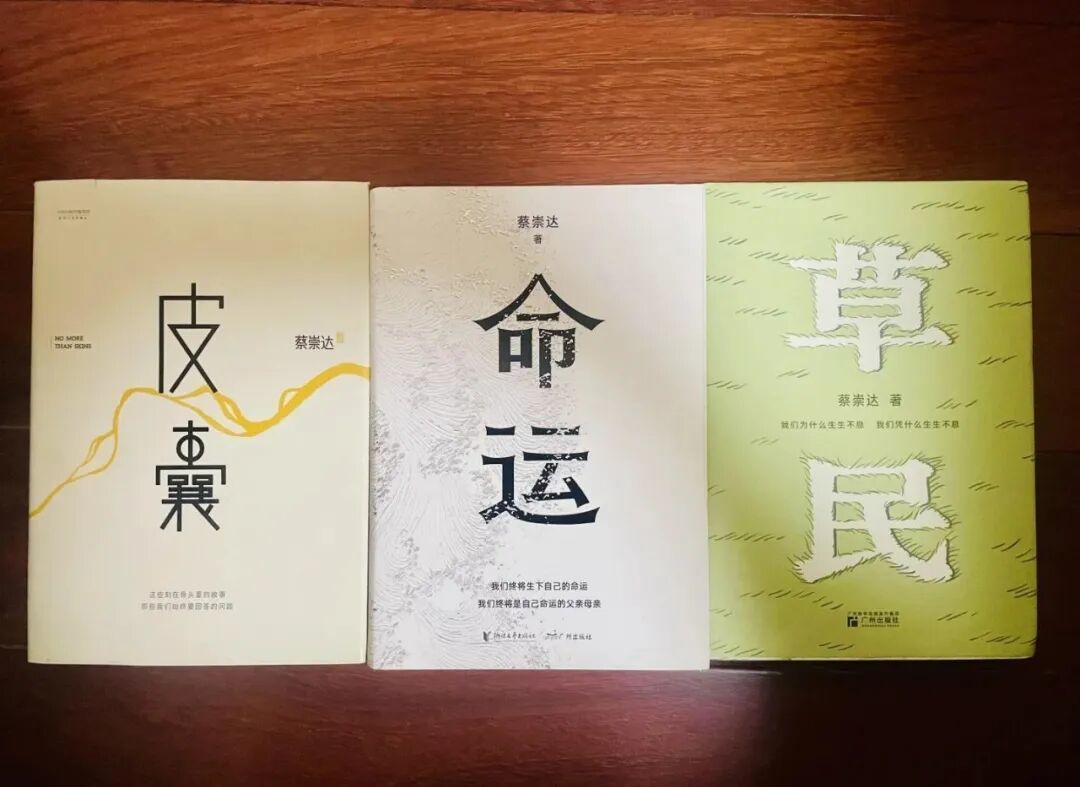 冯素雅|透过皮囊,触摸灵魂的真实:一场关于存在、记忆与归属的生命叩问