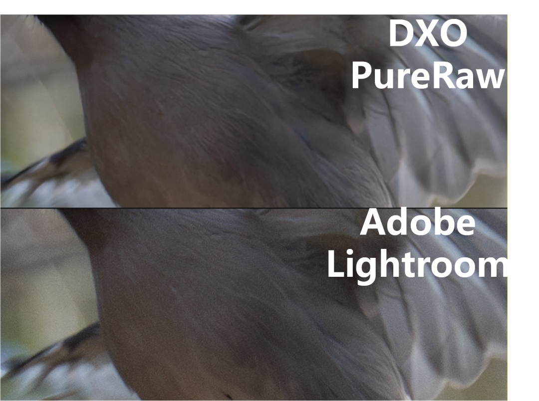 Lightroom 与 DxO：你的“鸟片”，更需要精装修还是重筑地基？