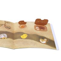 1.5-3岁学龄前启蒙绘本清单|专治娃撕扔书