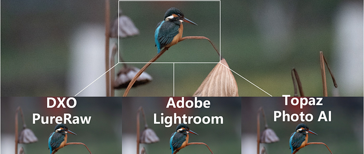 高ISO翠鸟降噪终极对决：Lightroom、DxO与Topaz，谁是细节守护神？_相机_什么值得买