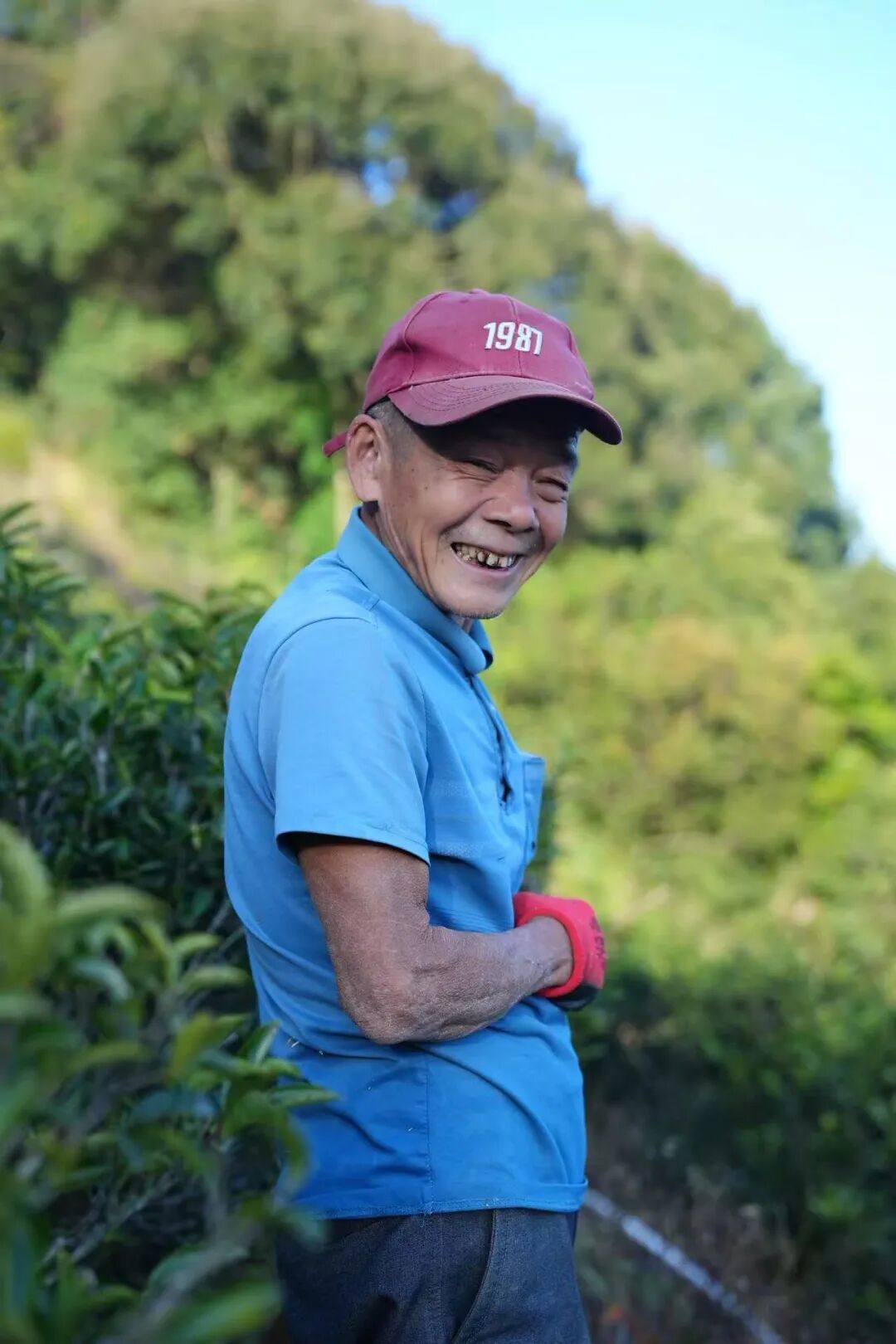 一位不是茶农的人,却种出了大家喜欢的鸭屎香