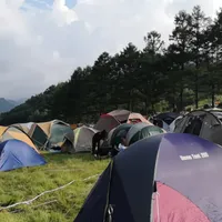 富士音乐节生存指南（三）