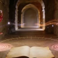 时间的双轨——垂直品鉴中的“饮用窗口”与“巅峰之谜”