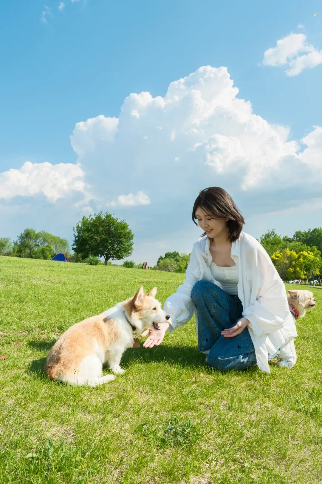 分享丨X-T50体验:街头、自然与人像的完美结合