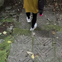 安踏猎隼3RC 30公里混合路面实测