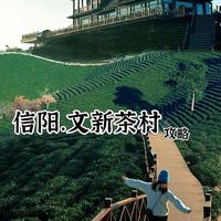 信阳文新茶村｜攻略看这一篇就够✅