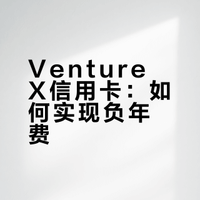Venture X 负年费神卡