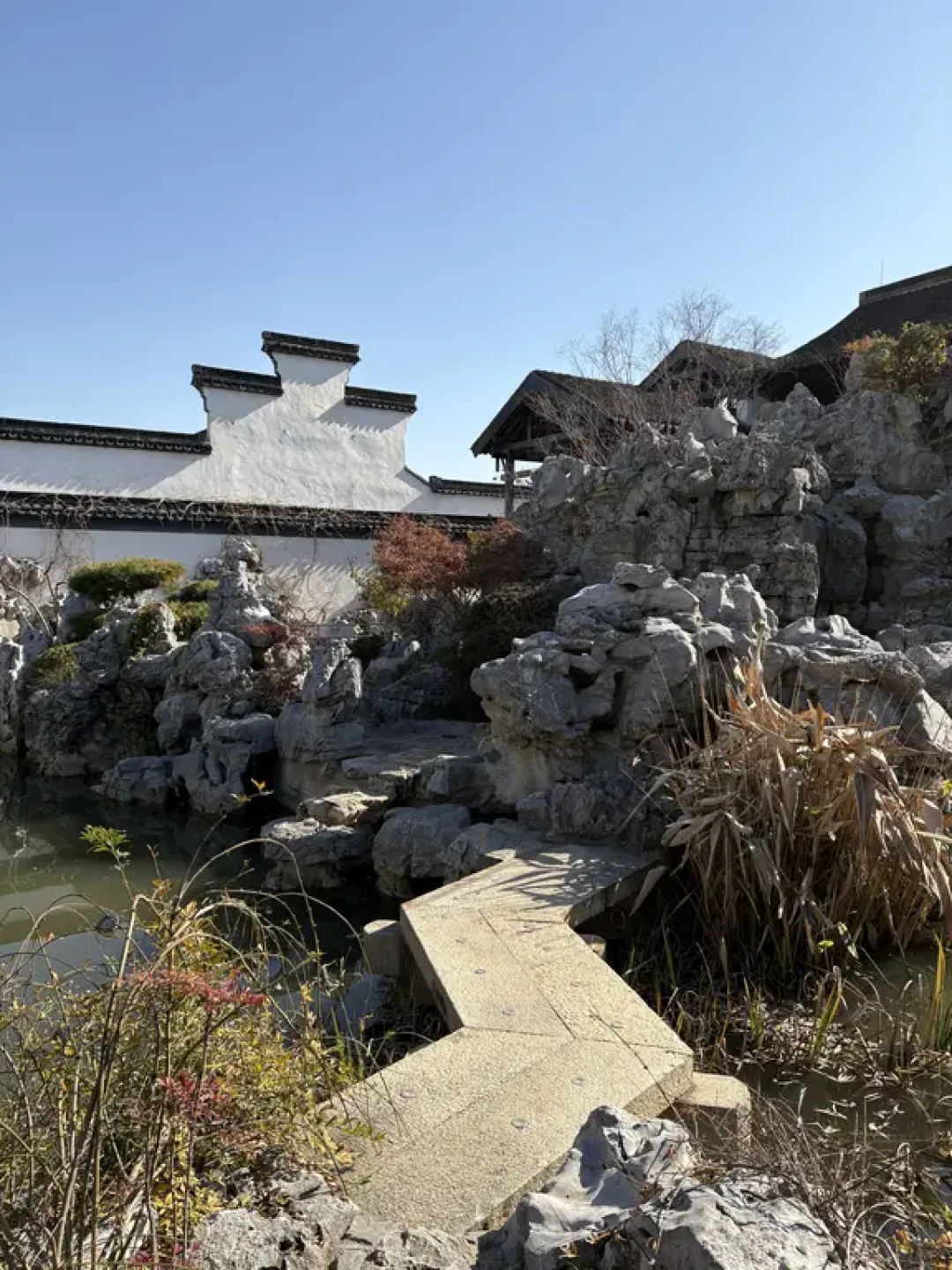 常州📍青果巷超全📷逛吃打卡指南