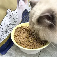 两款美毛猫粮到底选谁？诚实一口&纽顿实测