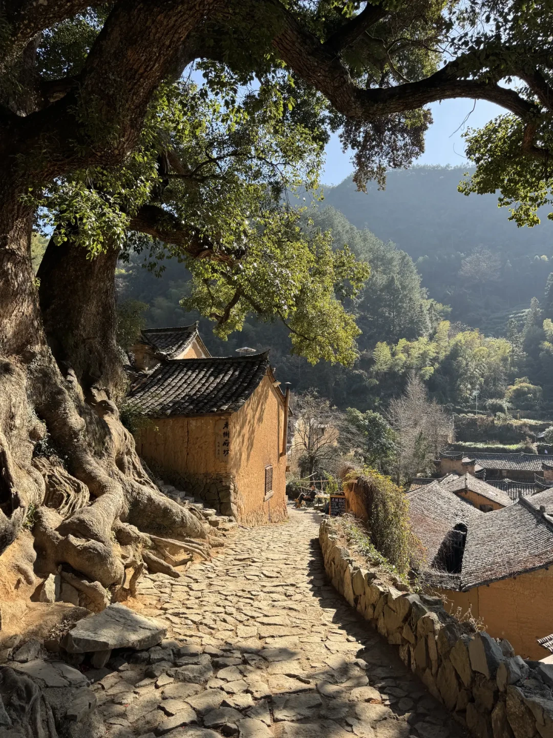 丽水|松阳的山中周末,惬意的两天一夜