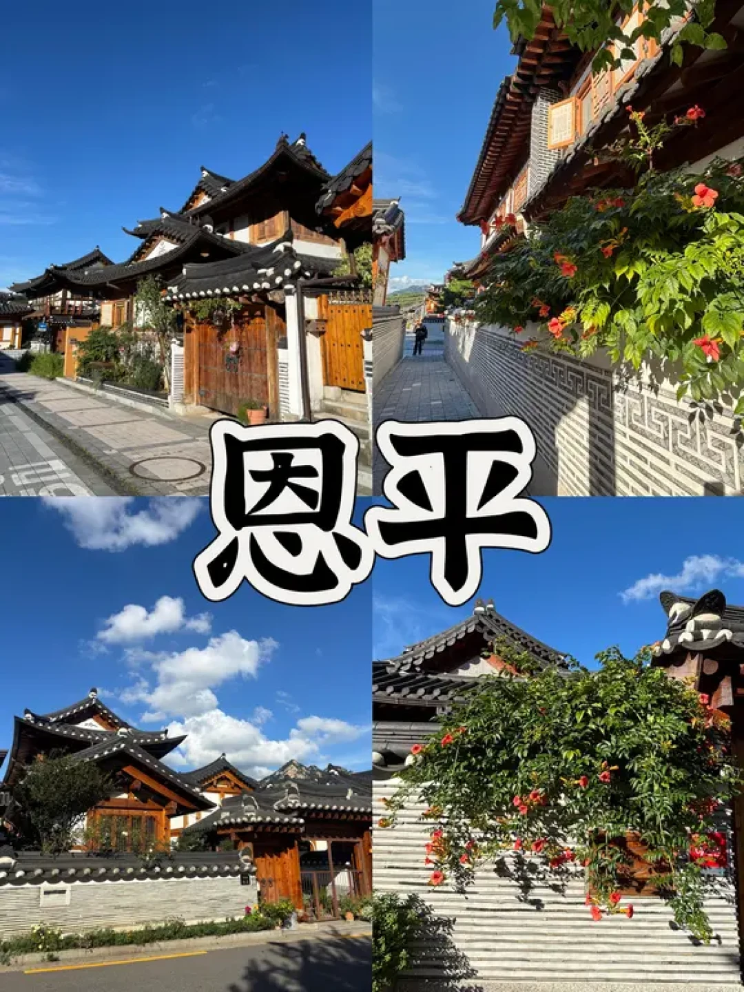 适合冬天带老人去的四个暖冬小城