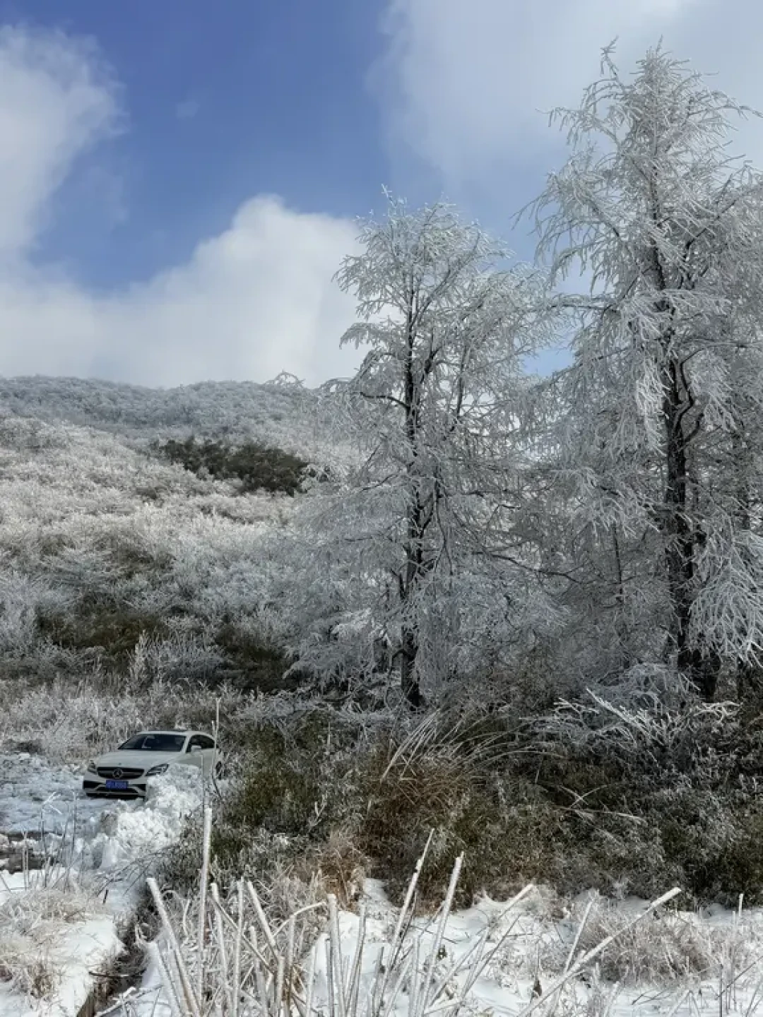 安吉→临安|小众自驾赏雪路线!人少景美❄️