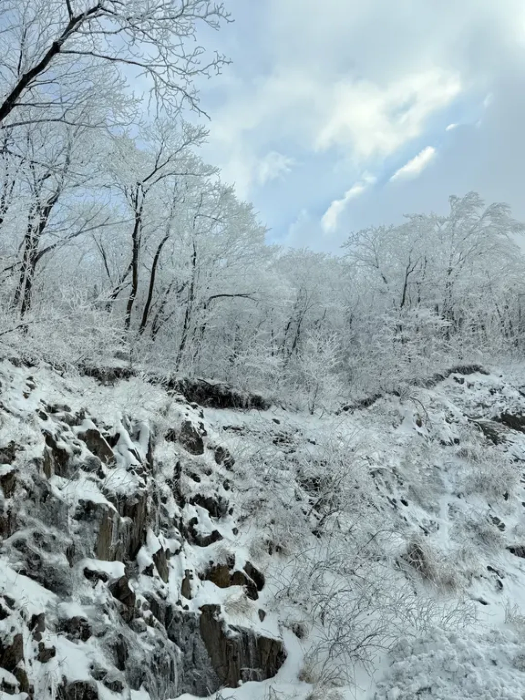 安吉→临安|小众自驾赏雪路线!人少景美❄️