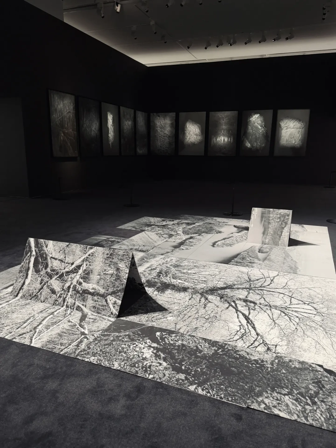 广州新展｜广东美术馆三年展📍白鹅潭