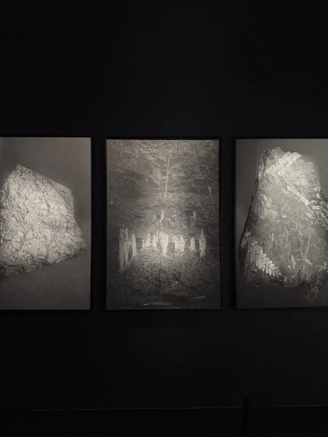 广州新展｜广东美术馆三年展📍白鹅潭