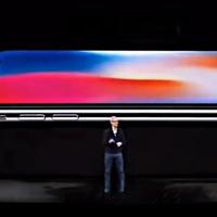 再见刘海屏，苹果最香入门 iPhone 要来了！