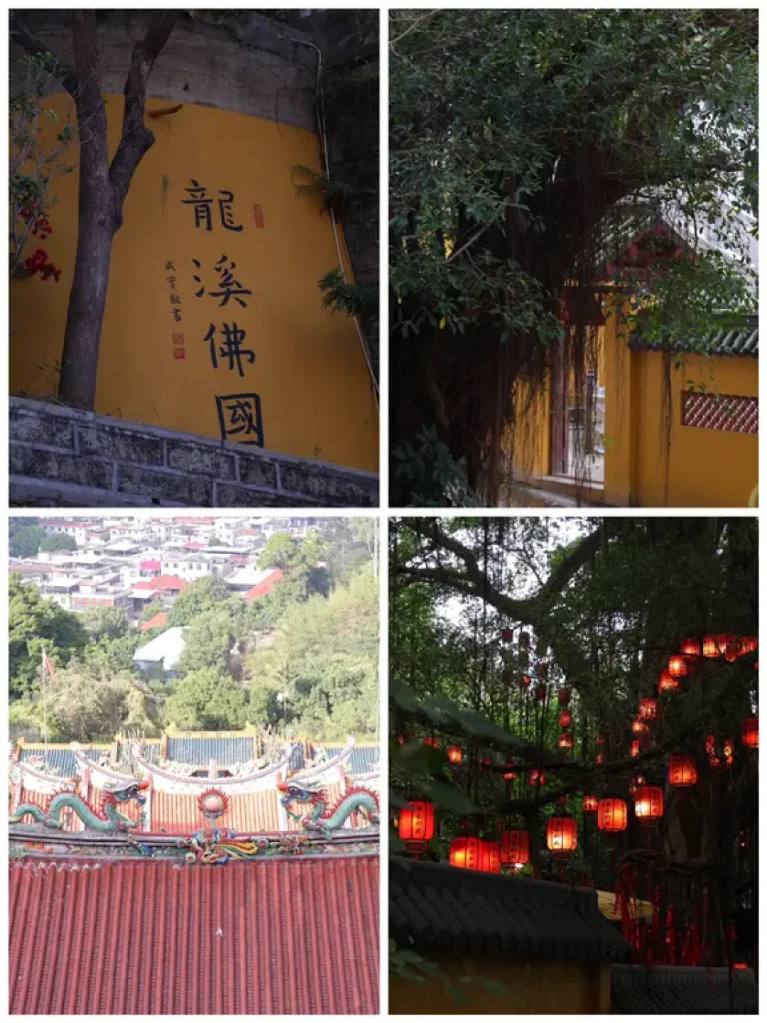 漳州这个地方好吃且出片!!!