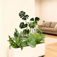 后悔没早买！带轮花箱拯救绿植 “搬家难”