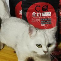 Ca宠爱黑金系列猫粮红装与金装有何不同之处呢？