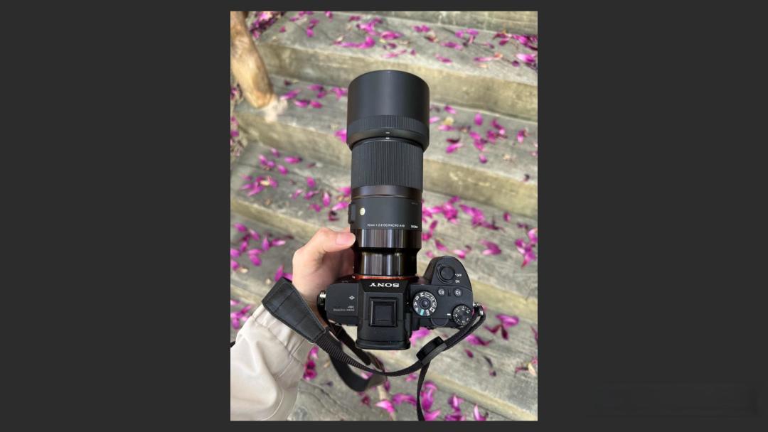 极致低像差|索尼 FE 100mm F2.8 Macro GM 性能表现、设计讨论