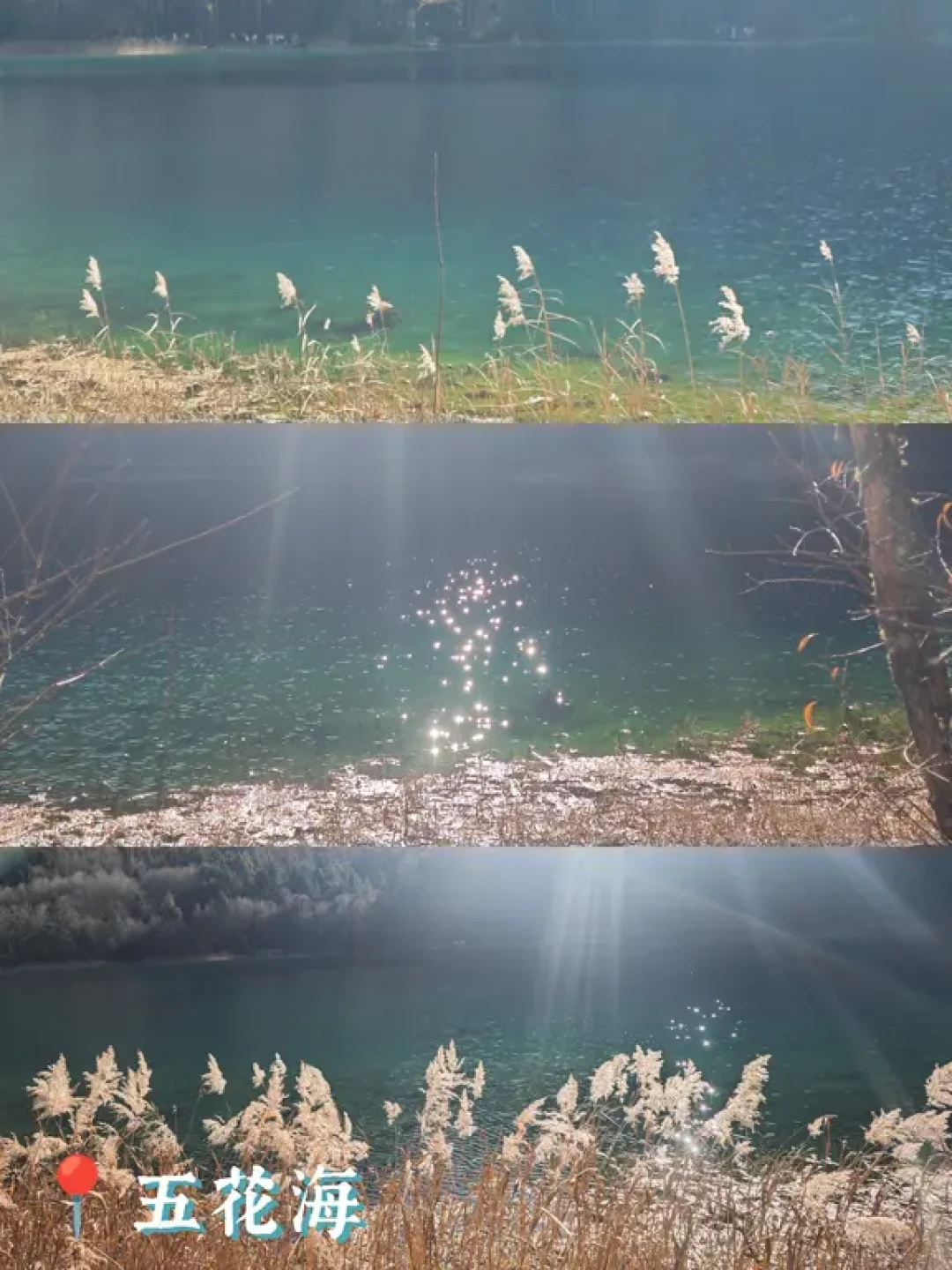 淡季川西|九寨沟篇~不跟团不自驾
