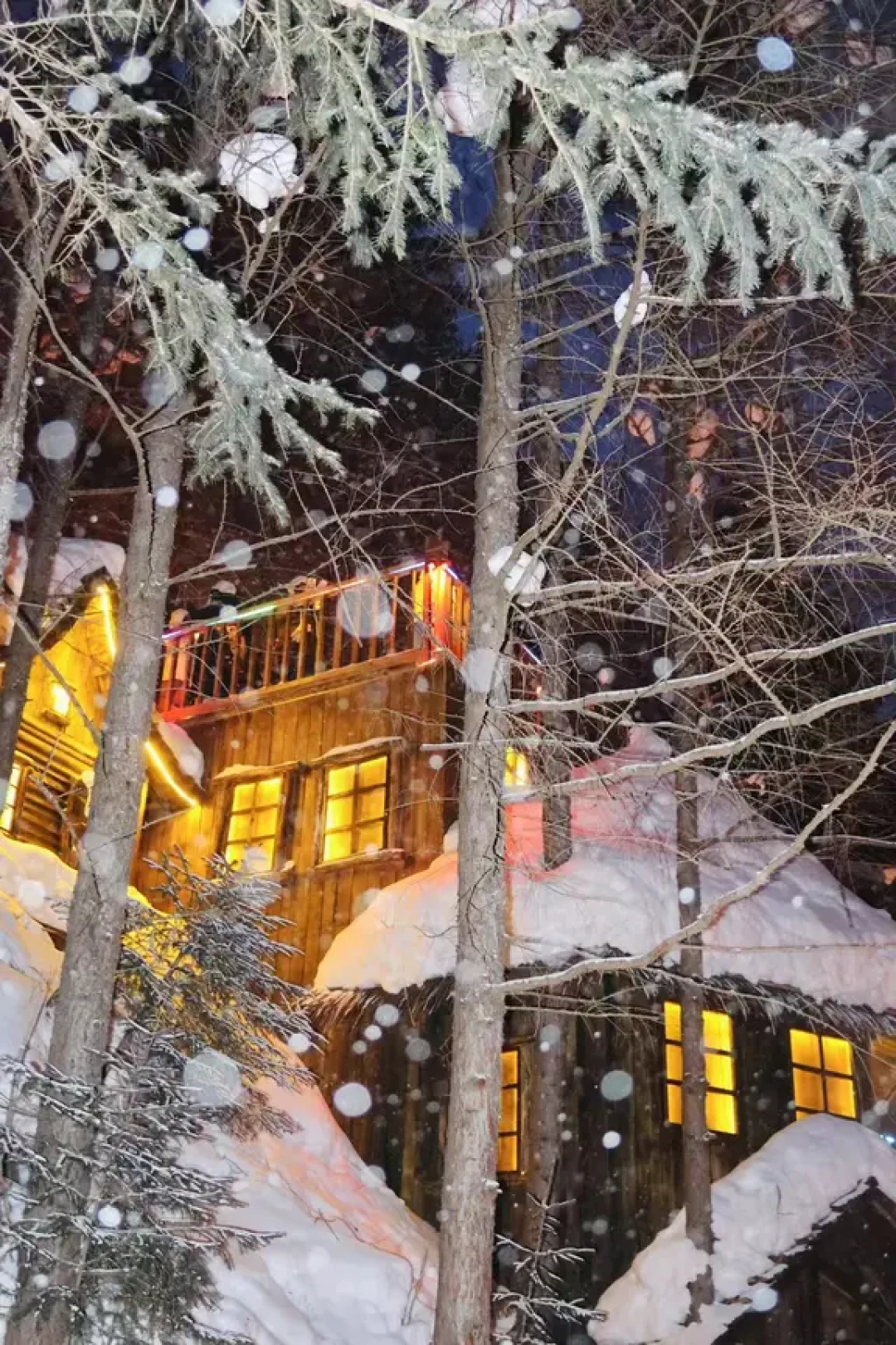 雪乡一日游|特种兵式打卡童话世界❄️
