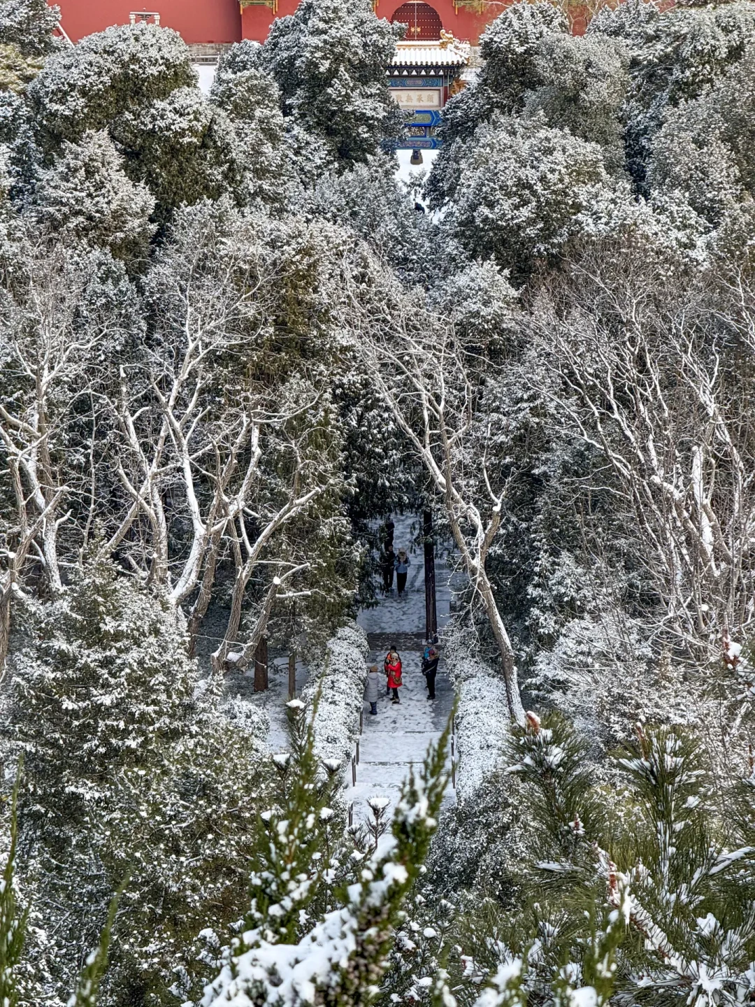 2026.1.17-18北京确定下雪❄️强烈推荐来这里