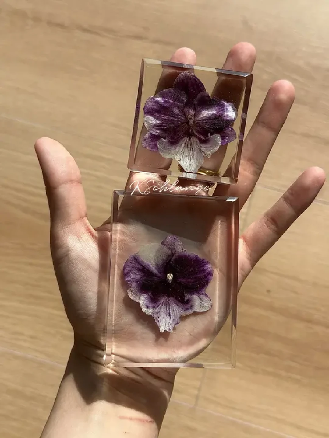 一年前做的蝴蝶兰标本现在怎么样了(二)