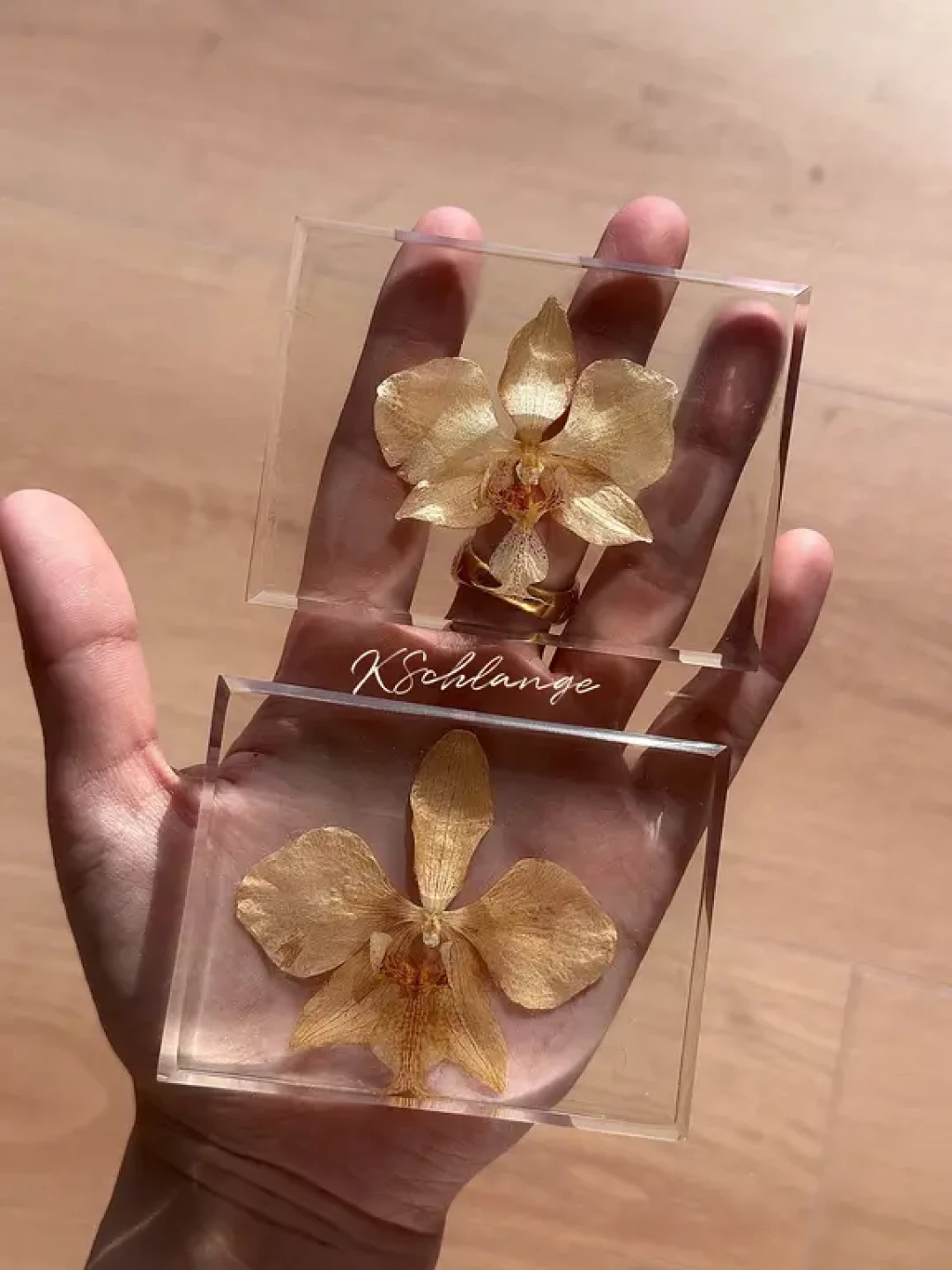 一年前做的蝴蝶兰标本现在怎么样了(二)