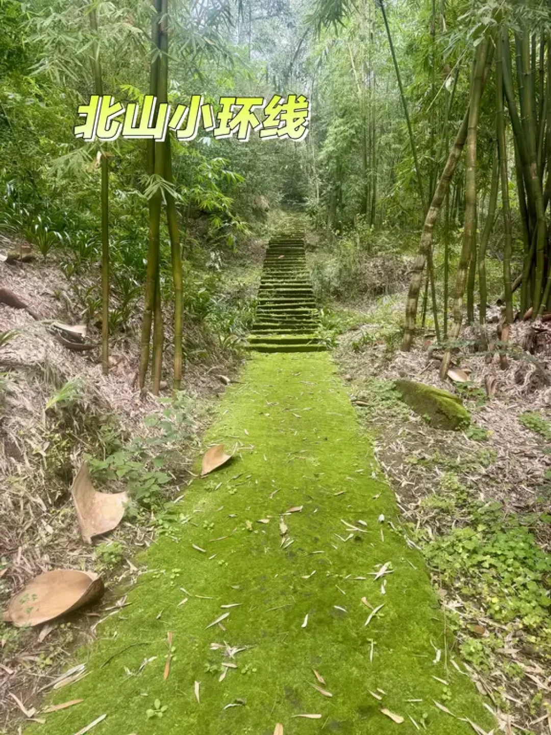 大足徒步党集合！15条本地路线大合集