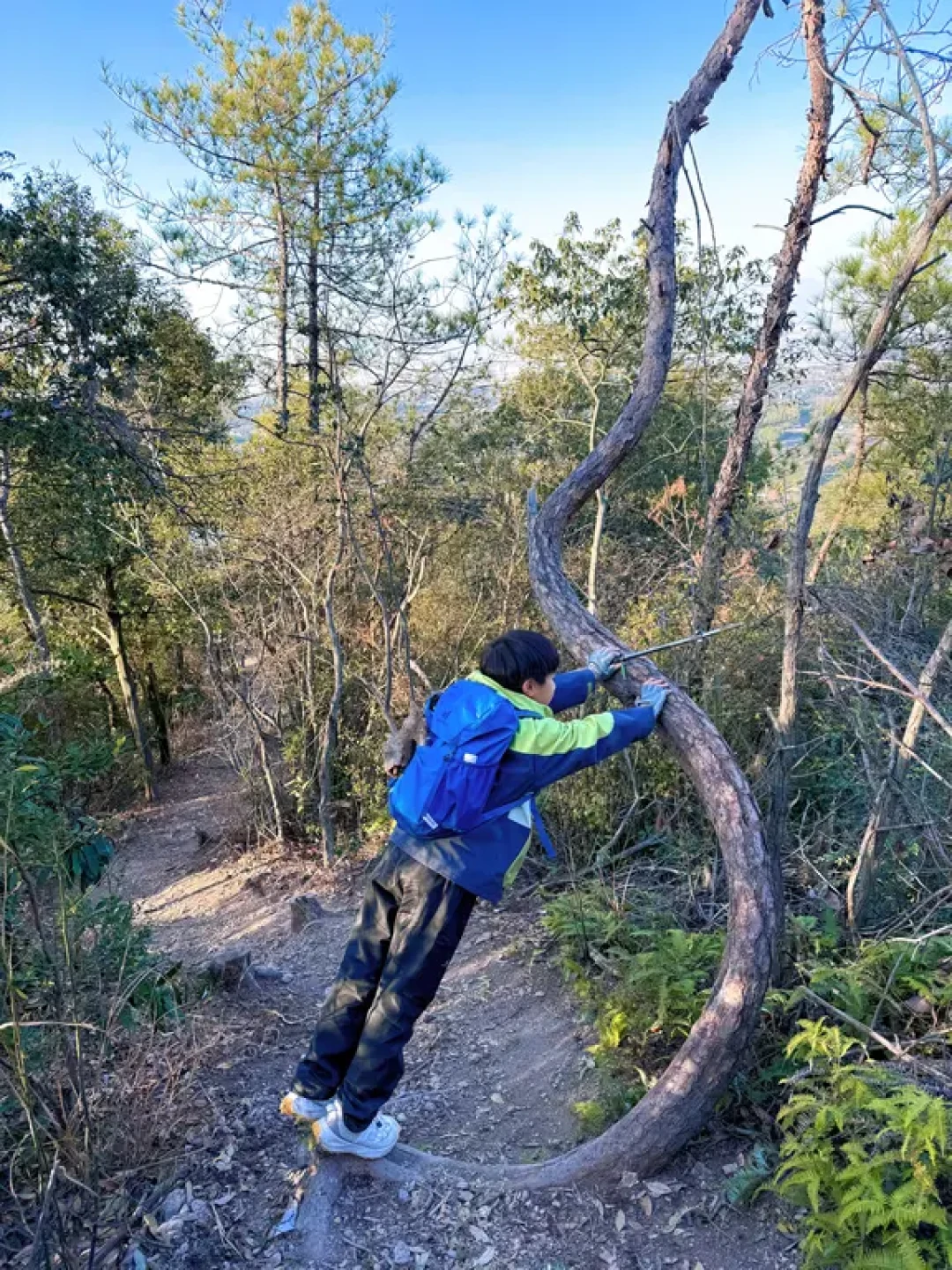 亲子徒步|四顾屏野路滑到哭✨但大山洞值得