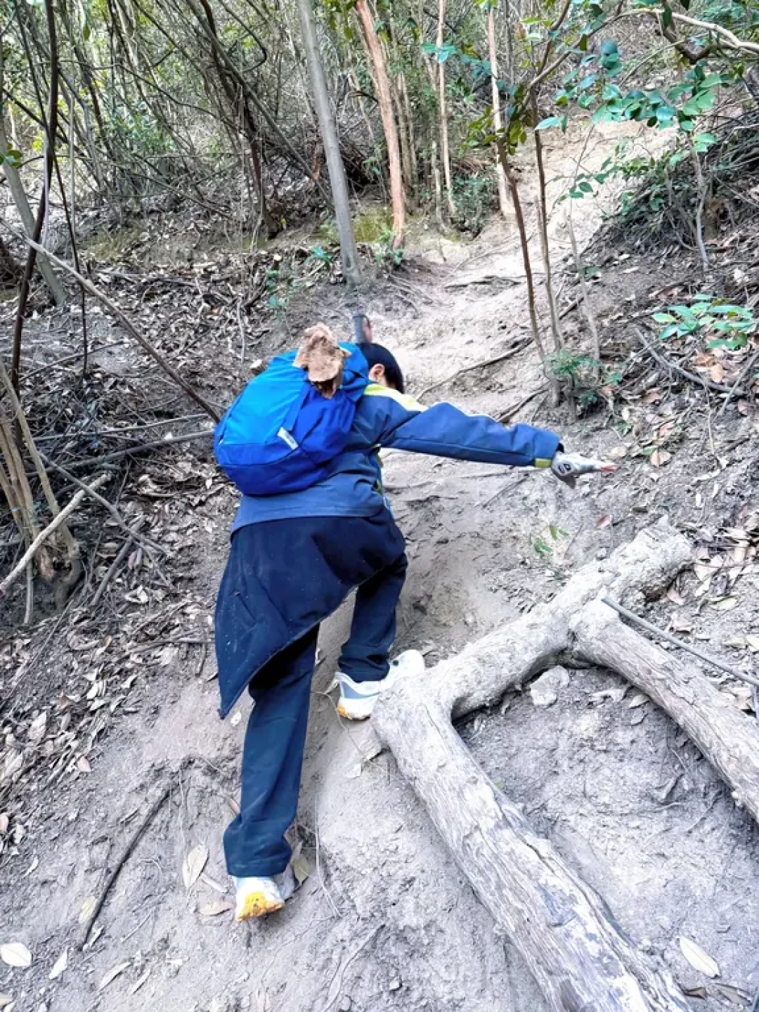 亲子徒步|四顾屏野路滑到哭✨但大山洞值得