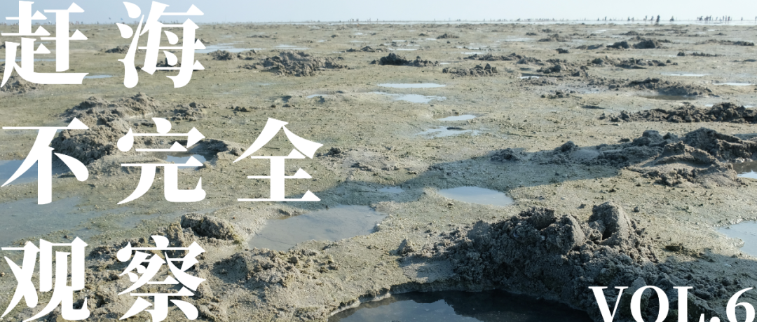 无序赶海凭啥该管?法律角度解析 | 深蓝推荐
